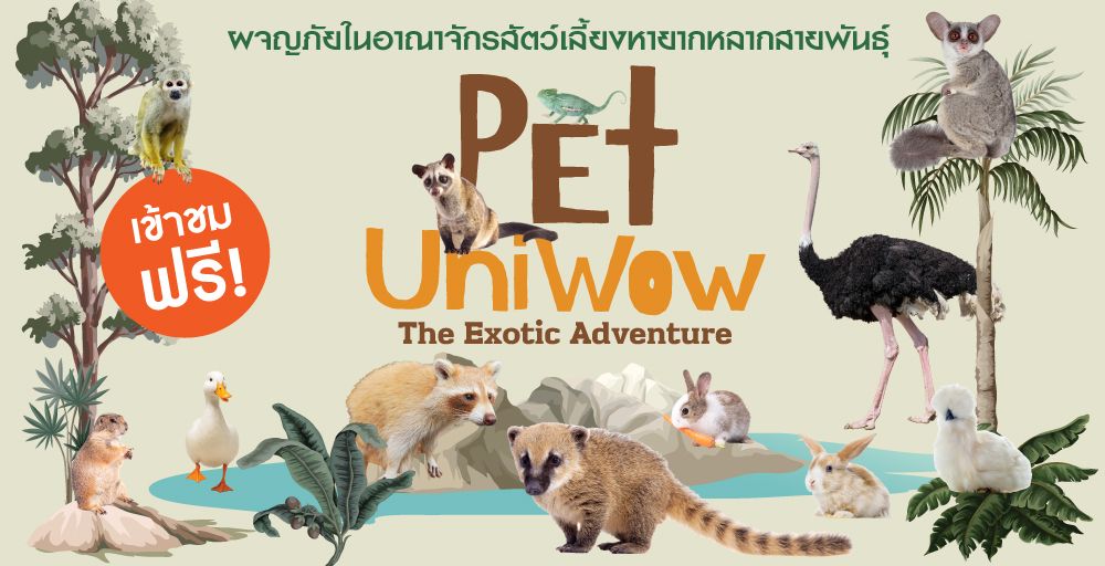 PET UNIWOW : The Exotic Adventure